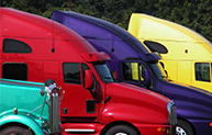 Fleet Color Adjustment